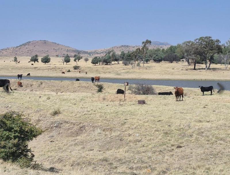 17 Bedroom Property for Sale in Ladybrand Free State